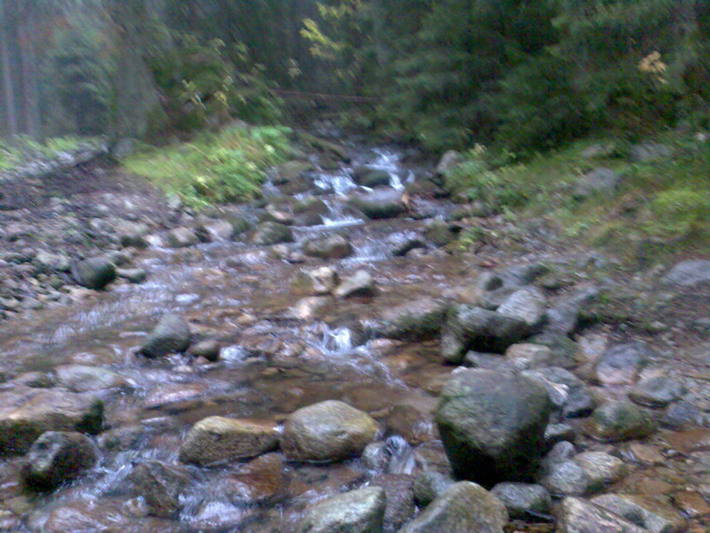 Krakova hoľa z Lúčok (Nízke Tatry)