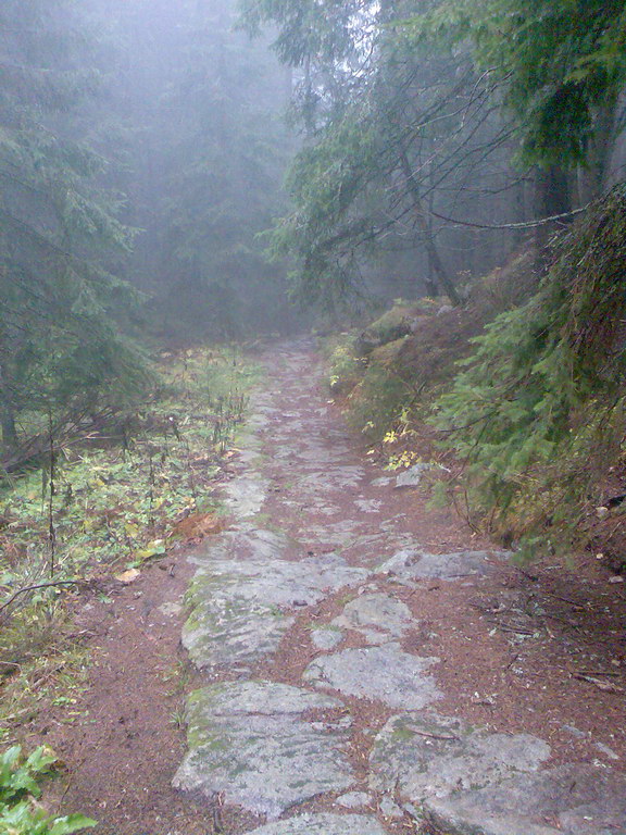 Krakova hoľa z Lúčok (Nízke Tatry)