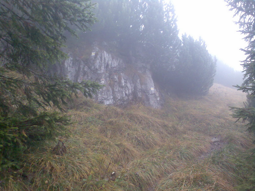 Krakova hoľa z Lúčok (Nízke Tatry)