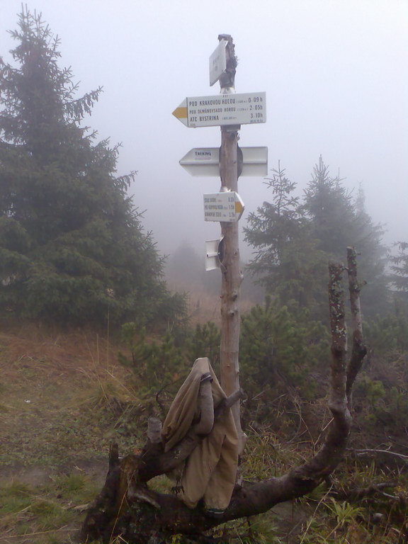 Krakova hoľa z Lúčok (Nízke Tatry)