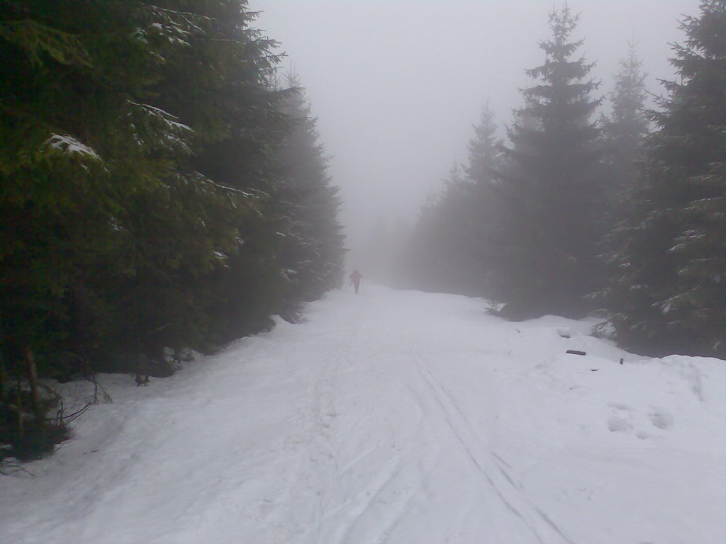 Kráľova hoľa zo Šumiaca (Nízke Tatry)