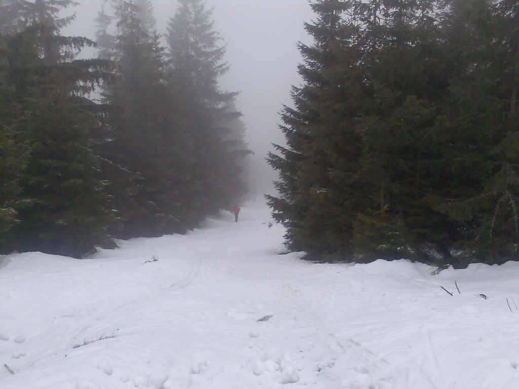 Kráľova hoľa zo Šumiaca (Nízke Tatry)