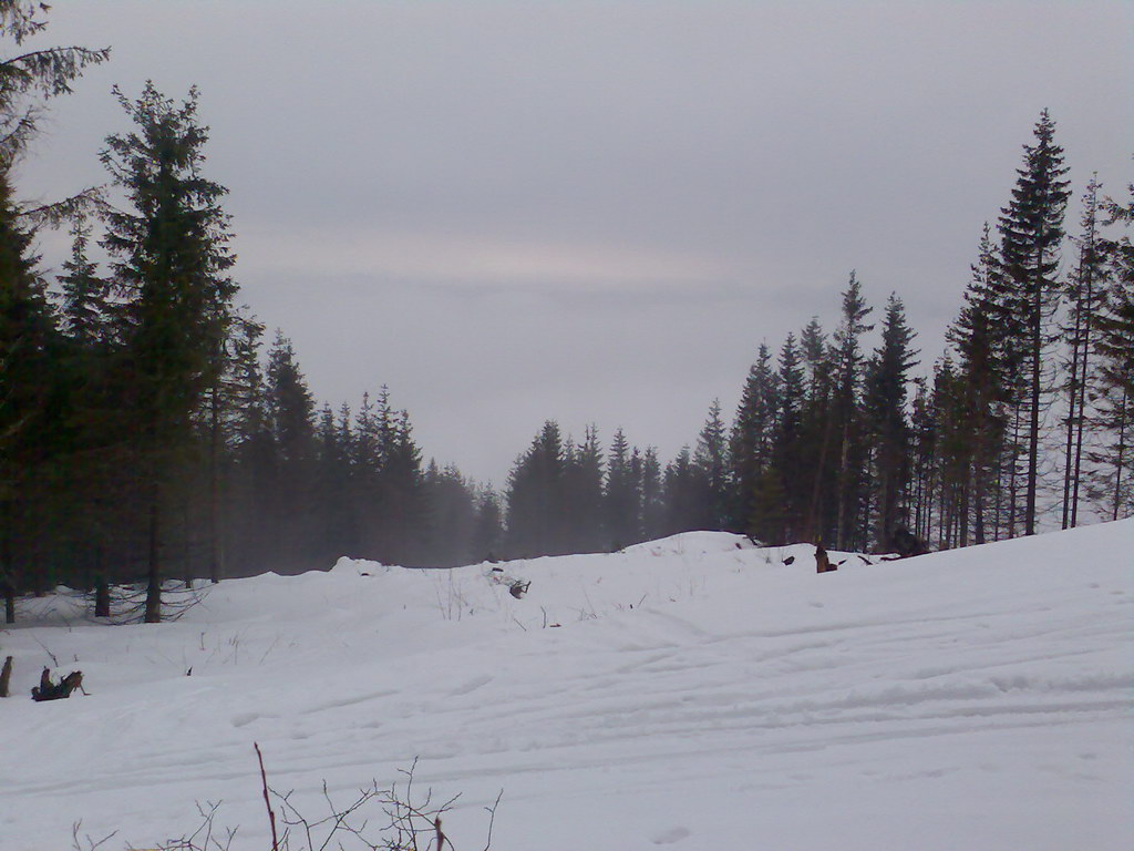 Kráľova hoľa zo Šumiaca (Nízke Tatry)