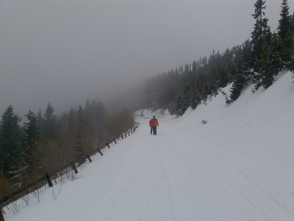 Kráľova hoľa zo Šumiaca (Nízke Tatry)