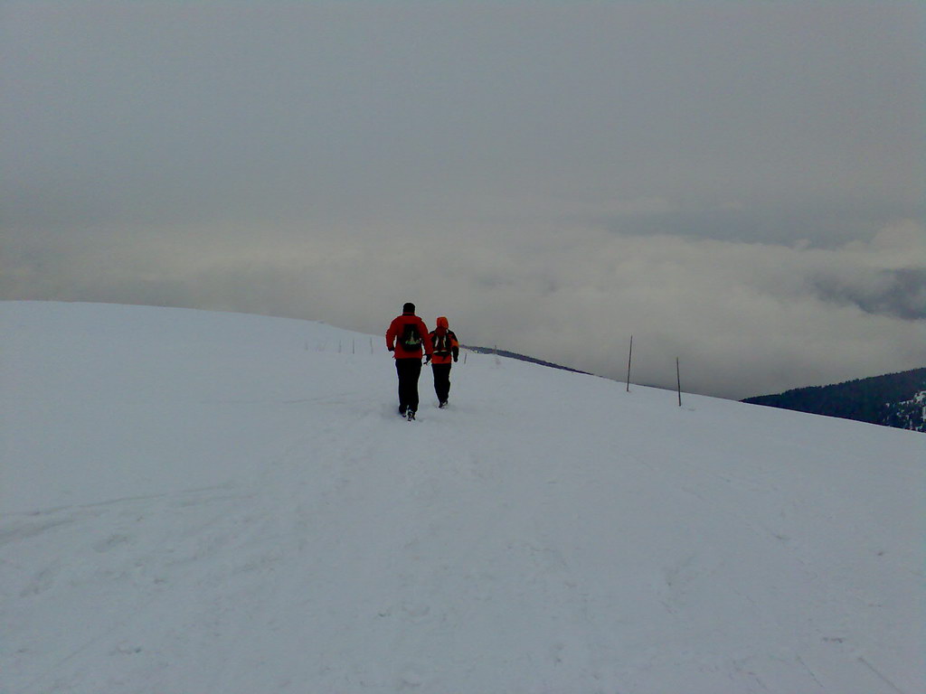 Kráľova hoľa zo Šumiaca (Nízke Tatry)