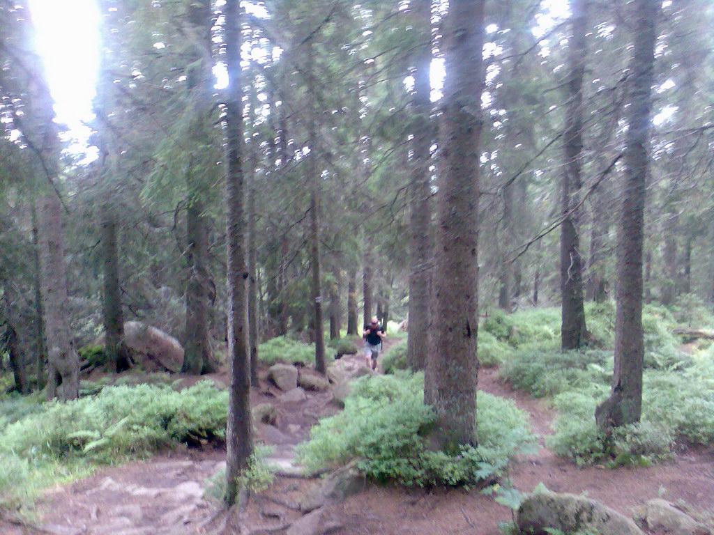 Kriváň zo Štrbského plesa (Vysoké Tatry)