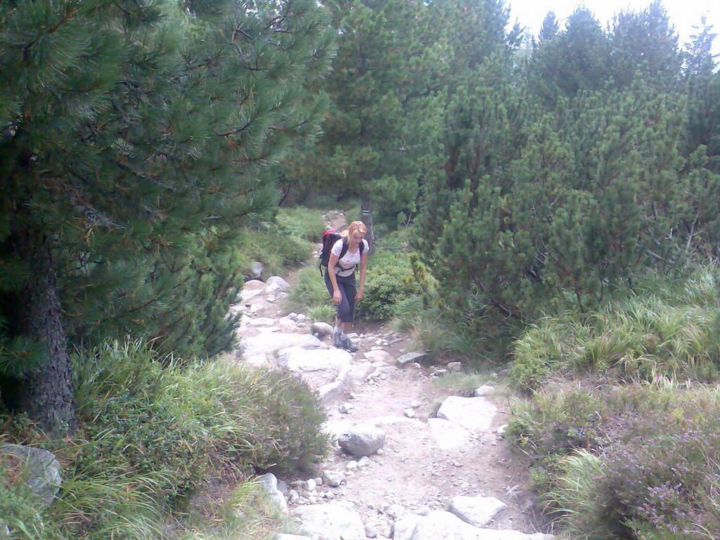 Kriváň zo Štrbského plesa (Vysoké Tatry)