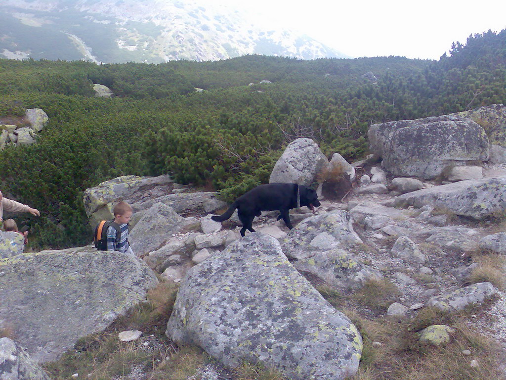 Kriváň zo Štrbského plesa (Vysoké Tatry)