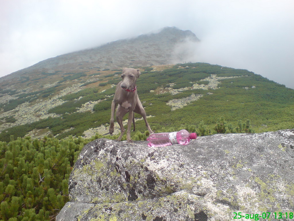 Kriváň zo Štrbského plesa (Vysoké Tatry)