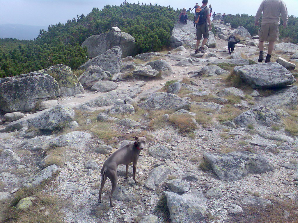 Kriváň zo Štrbského plesa (Vysoké Tatry)