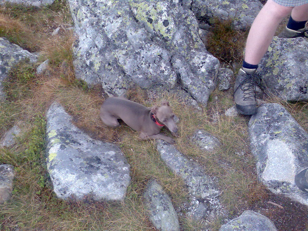 Kriváň zo Štrbského plesa (Vysoké Tatry)