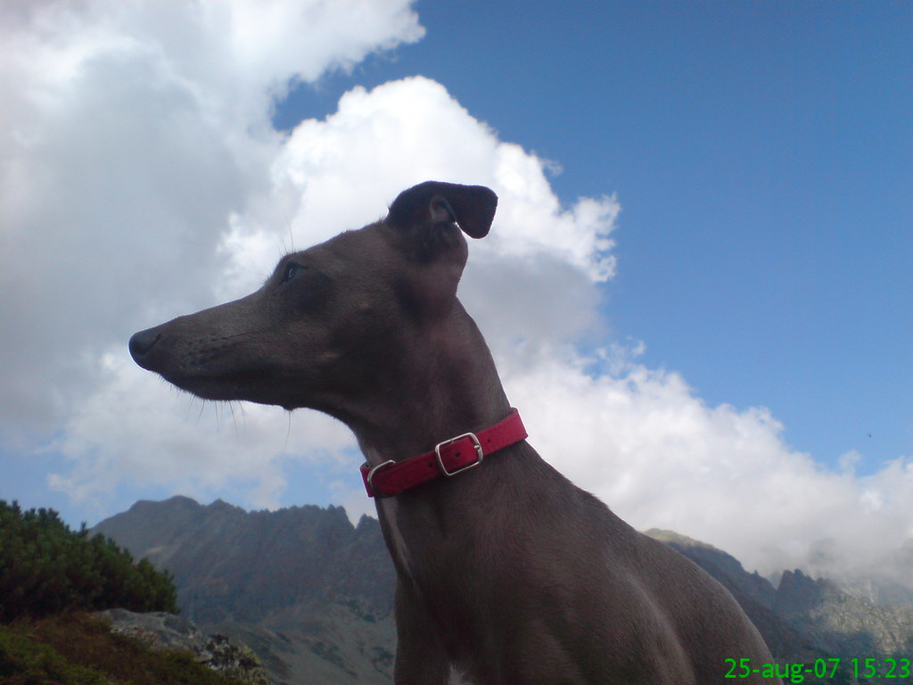 Kriváň zo Štrbského plesa (Vysoké Tatry)