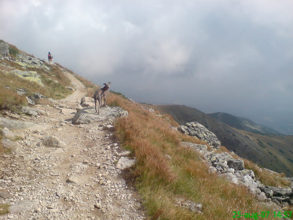 Kriváň zo Štrbského plesa (Vysoké Tatry)