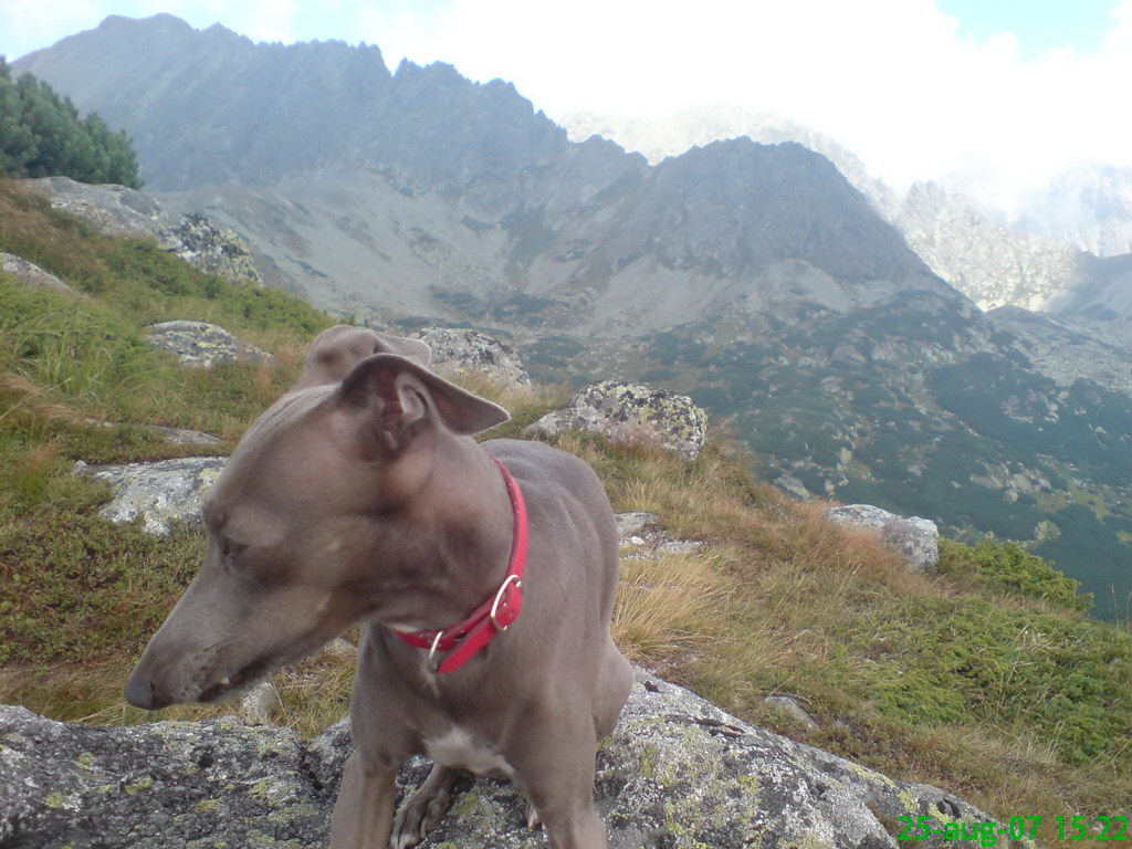 Kriváň zo Štrbského plesa (Vysoké Tatry)