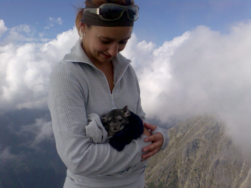 Kriváň zo Štrbského plesa (Vysoké Tatry)