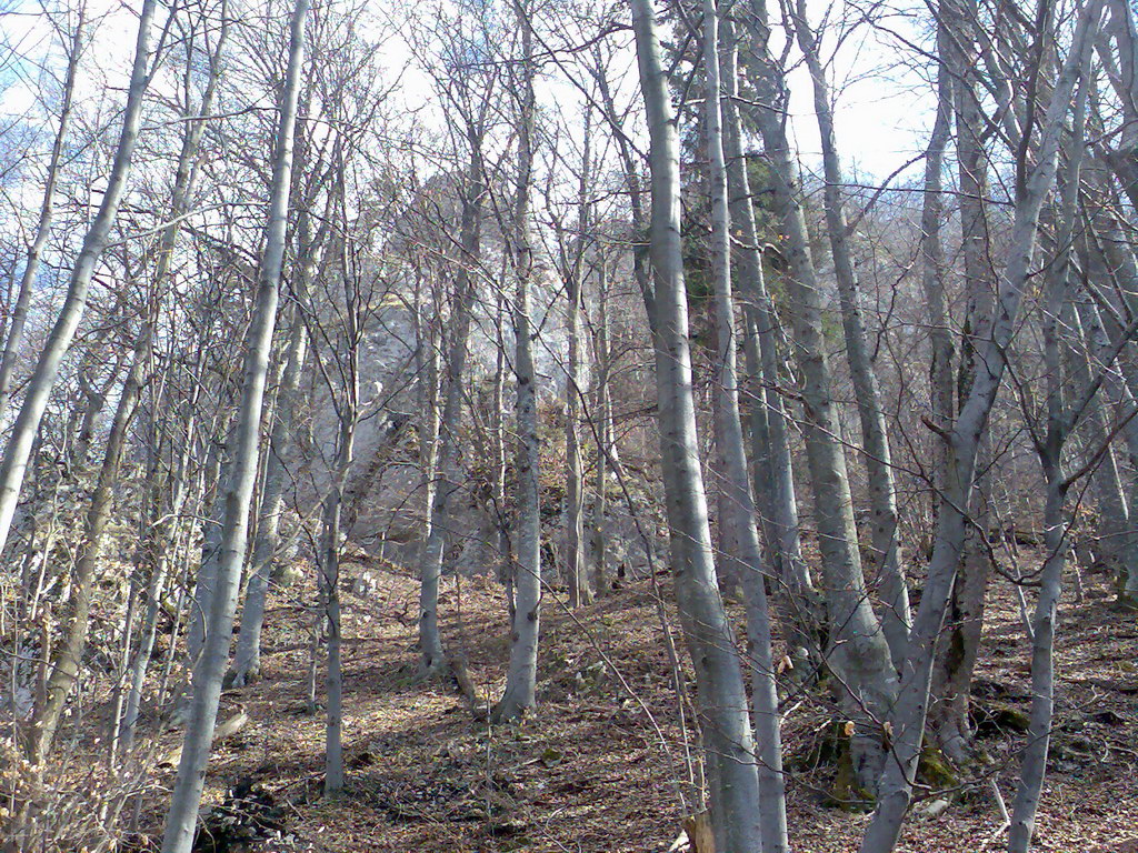 Muránsky hrad (Muránska planina)