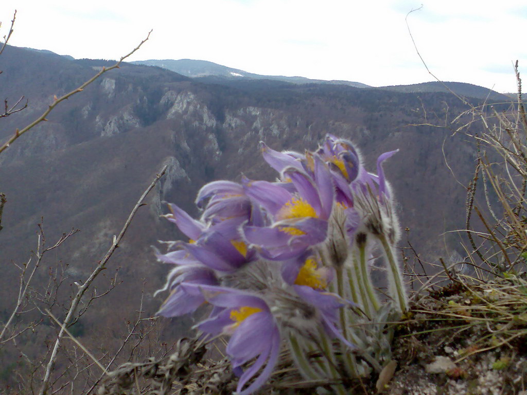 Muránsky hrad (Muránska planina)