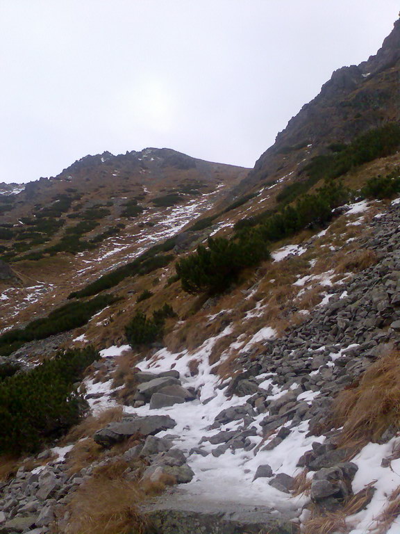 Ostrva (Vysoké Tatry)