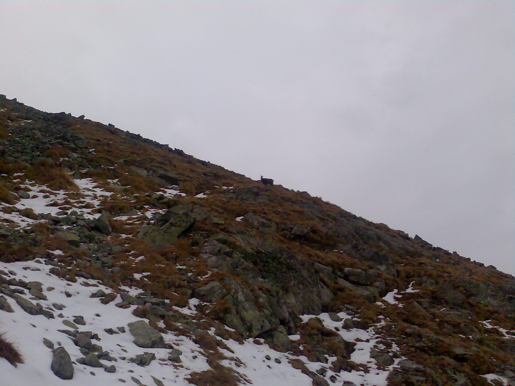 Ostrva (Vysoké Tatry)