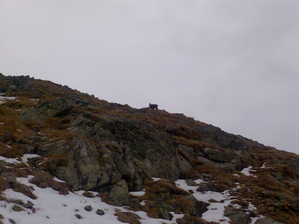 Ostrva (Vysoké Tatry)