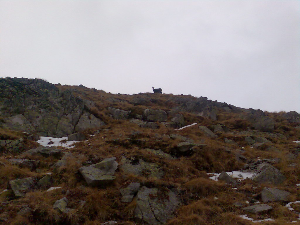 Ostrva (Vysoké Tatry)