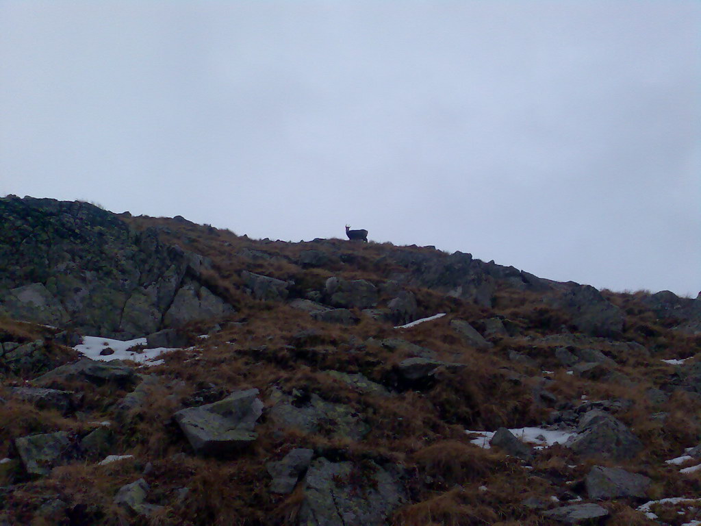 Ostrva (Vysoké Tatry)