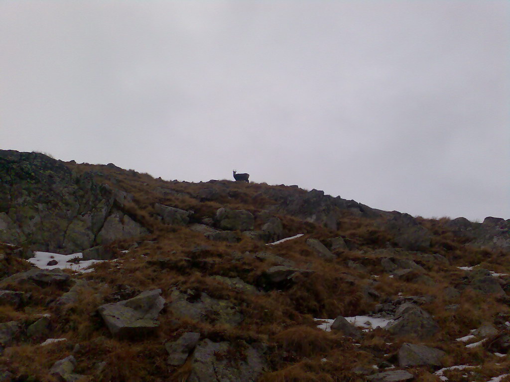 Ostrva (Vysoké Tatry)