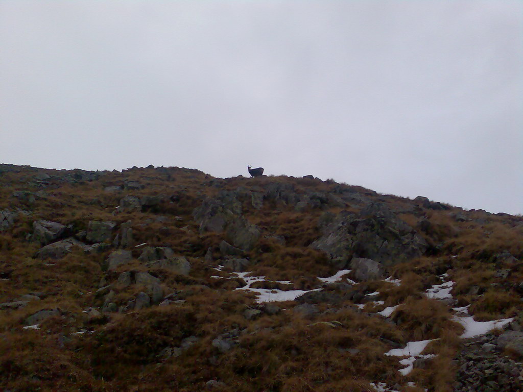 Ostrva (Vysoké Tatry)