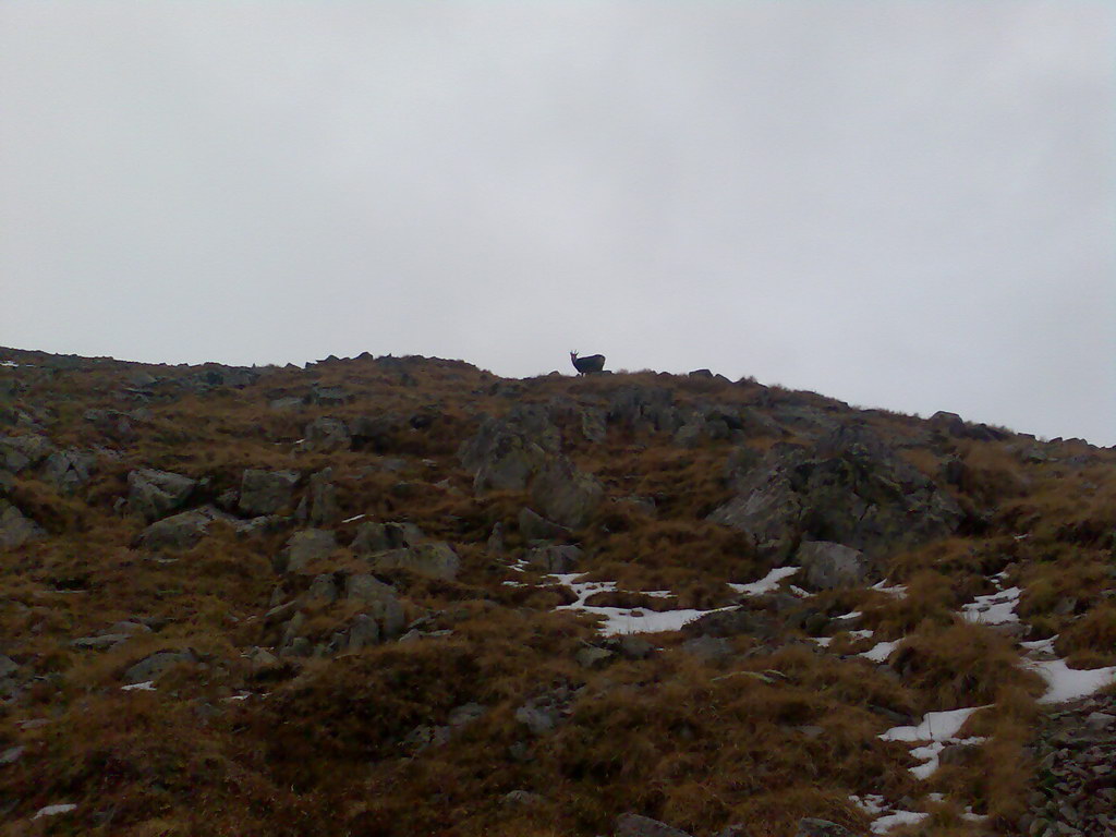 Ostrva (Vysoké Tatry)