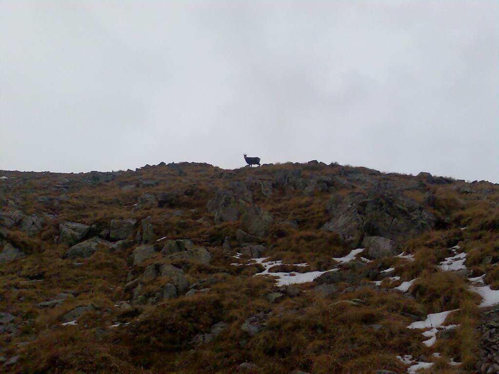 Ostrva (Vysoké Tatry)