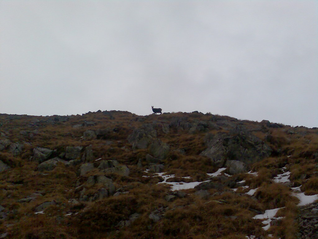 Ostrva (Vysoké Tatry)