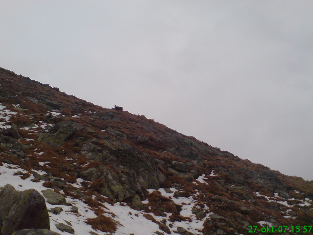 Ostrva (Vysoké Tatry)