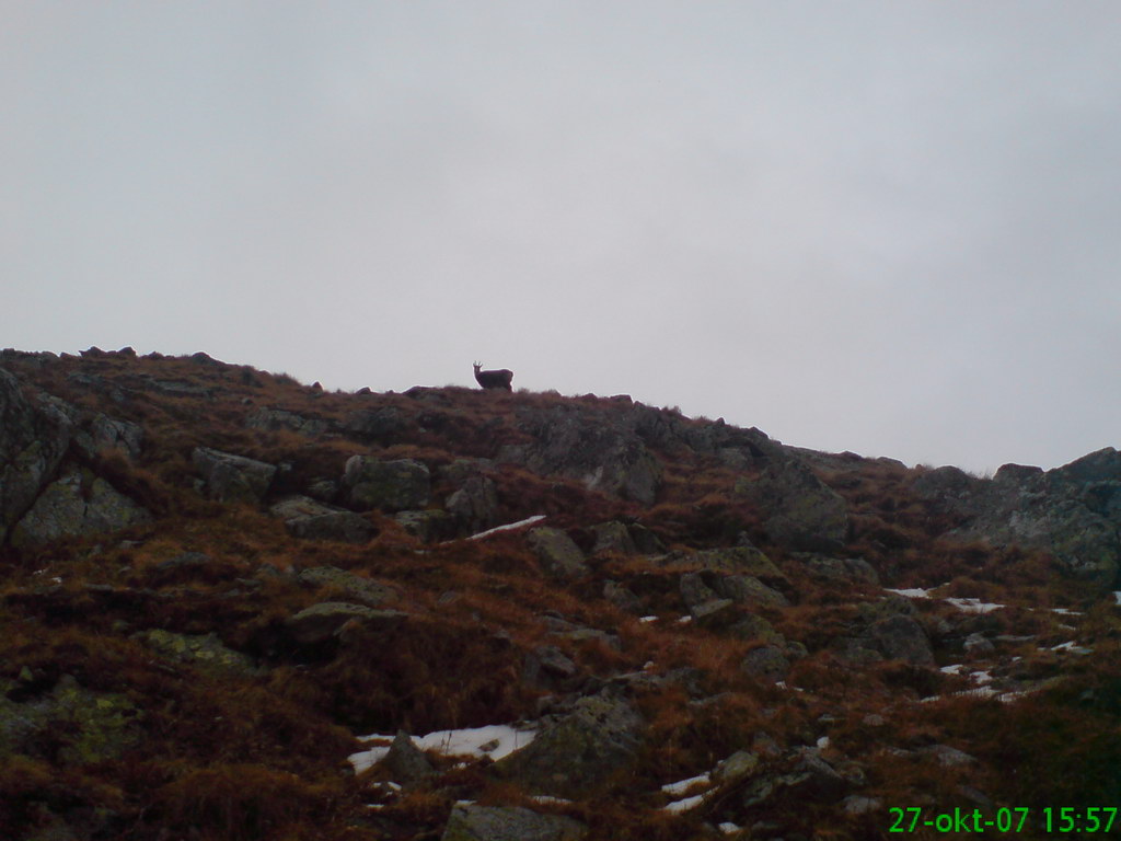 Ostrva (Vysoké Tatry)