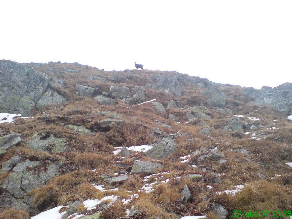 Ostrva (Vysoké Tatry)