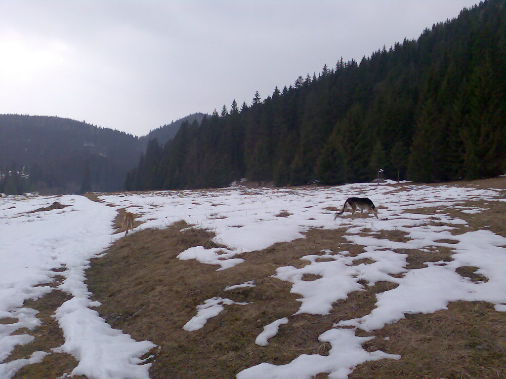 Pod Hanesovou I. (Slovenský raj)