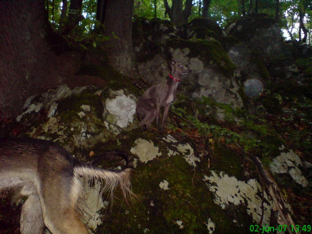 Pod Kresadlom (Slovenský kras)