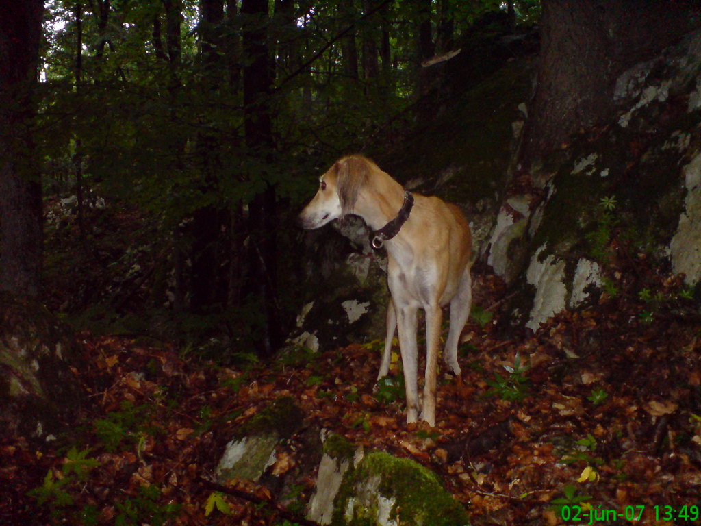 Pod Kresadlom (Slovenský kras)