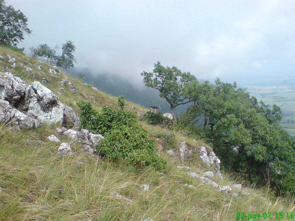 Pod Kresadlom (Slovenský kras)