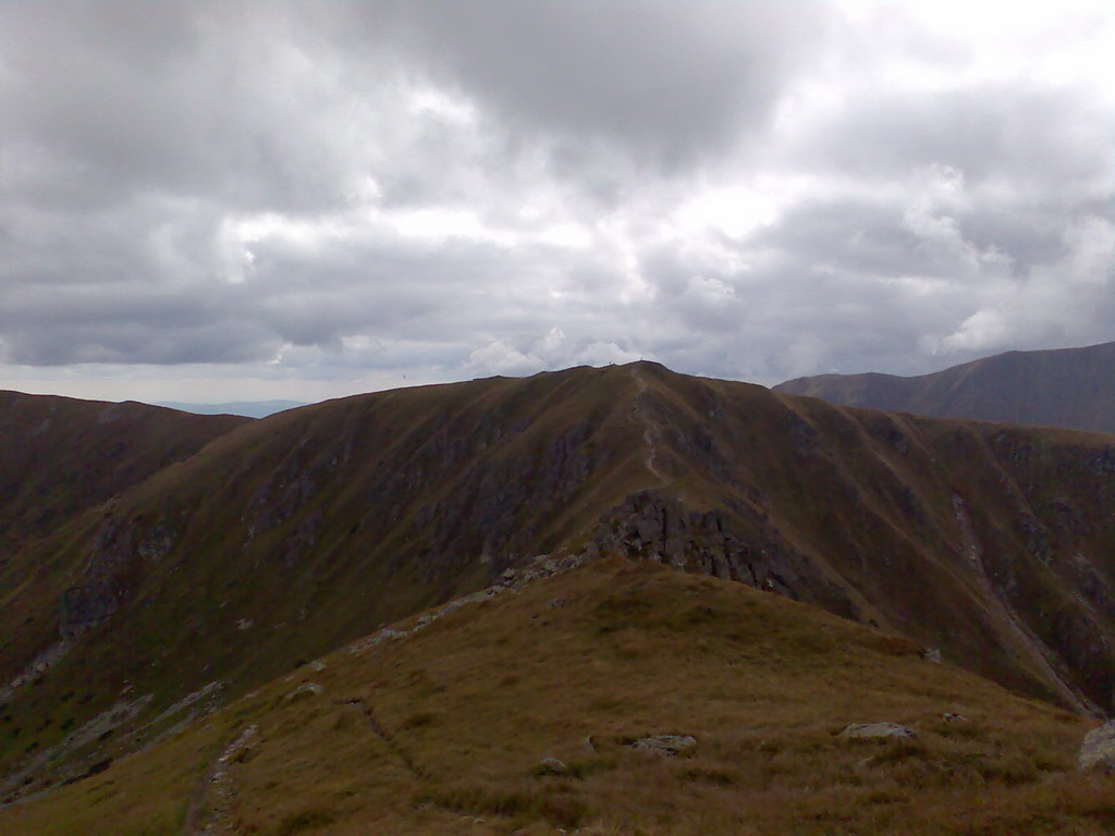 Poľana (Nízke Tatry)