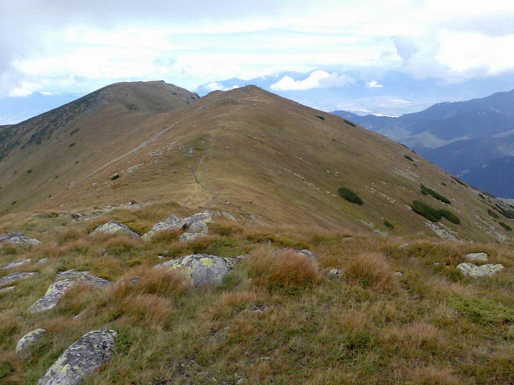 Poľana (Nízke Tatry)