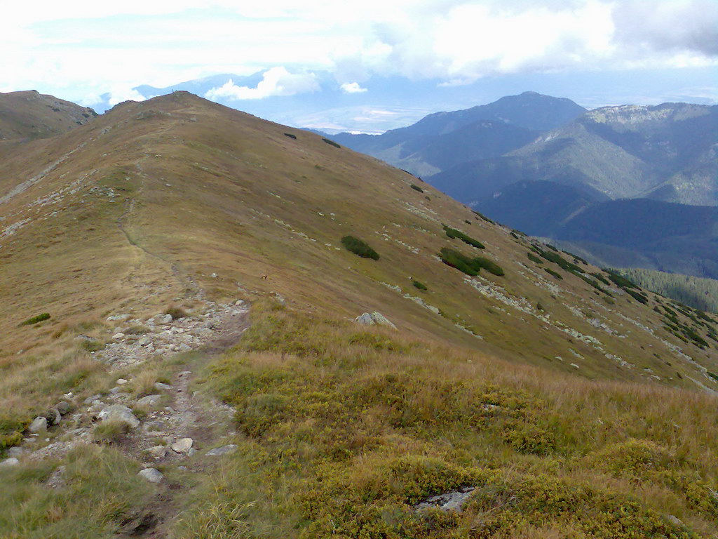 Poľana (Nízke Tatry)