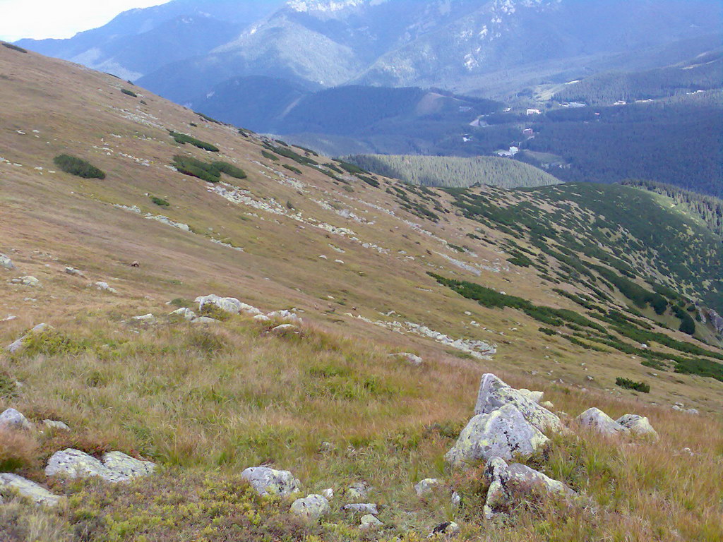 Poľana (Nízke Tatry)