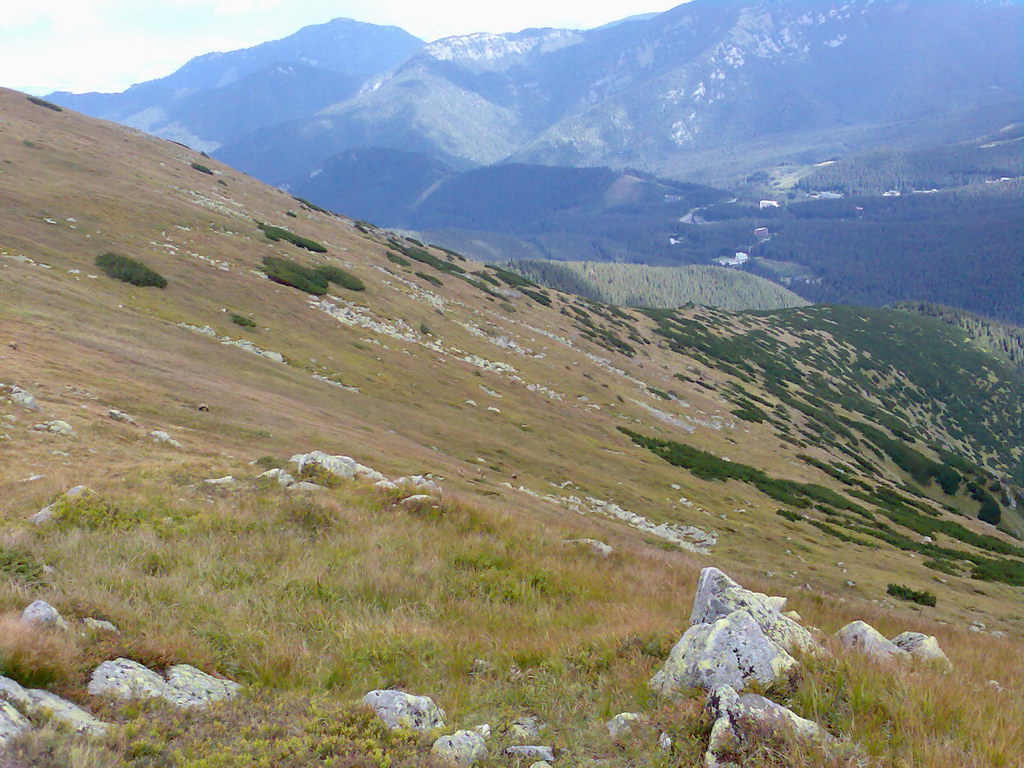 Poľana (Nízke Tatry)