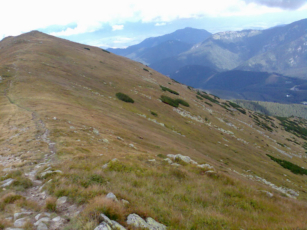 Poľana (Nízke Tatry)