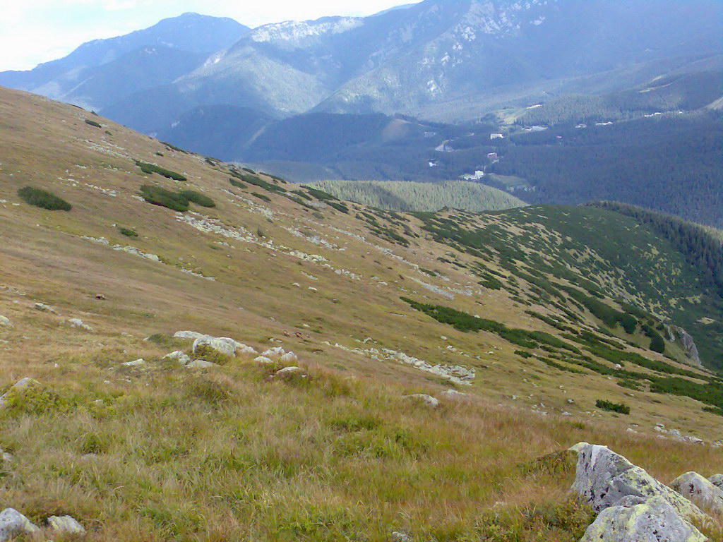 Poľana (Nízke Tatry)