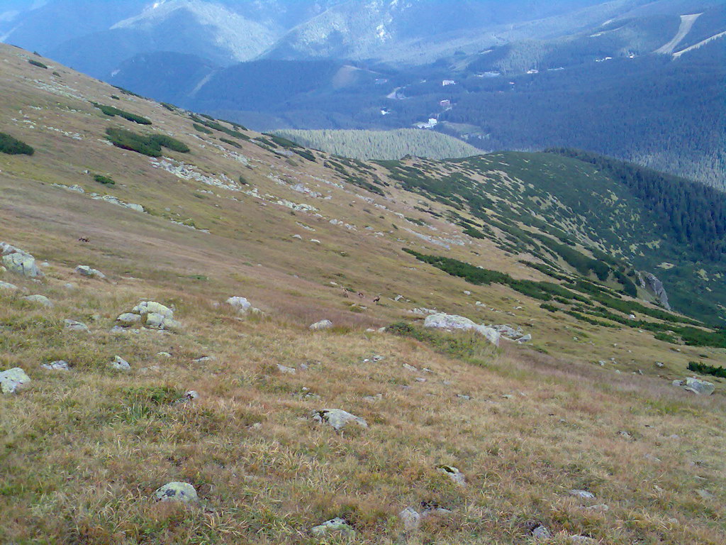 Poľana (Nízke Tatry)