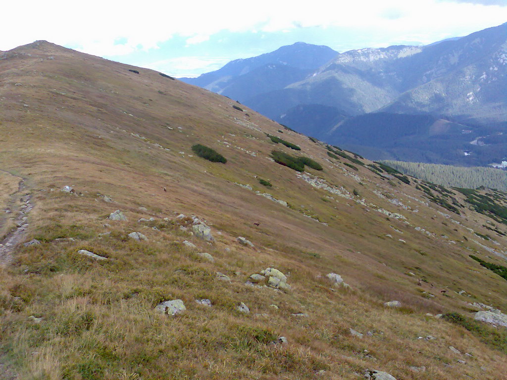 Poľana (Nízke Tatry)