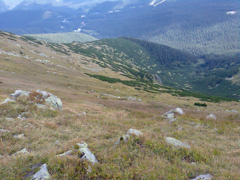 Poľana (Nízke Tatry)