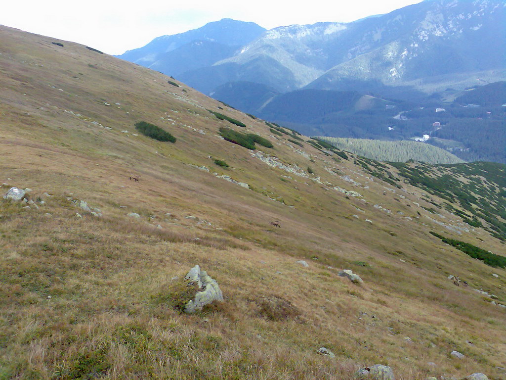 Poľana (Nízke Tatry)