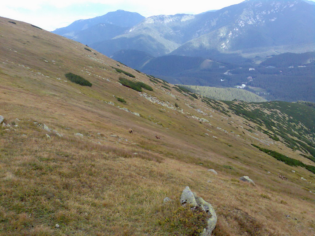 Poľana (Nízke Tatry)